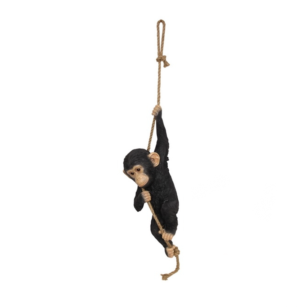 HANGING BABY CHIMP