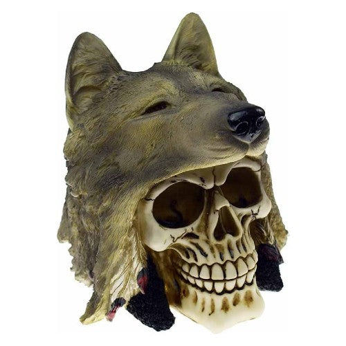 NATIVE AMERICAN WOLF SKULL