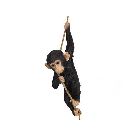 HANGING BABY CHIMP