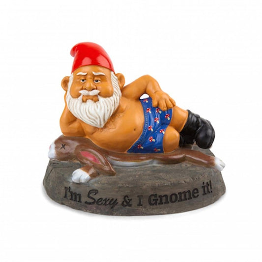 THE SEXY GARDEN GNOME